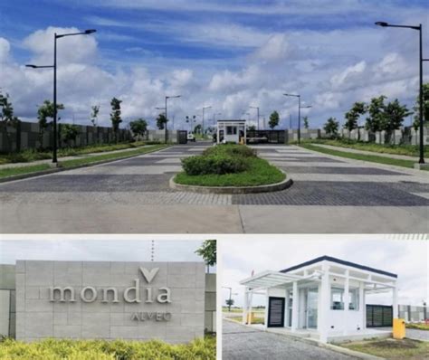 Mondia, Calamba.